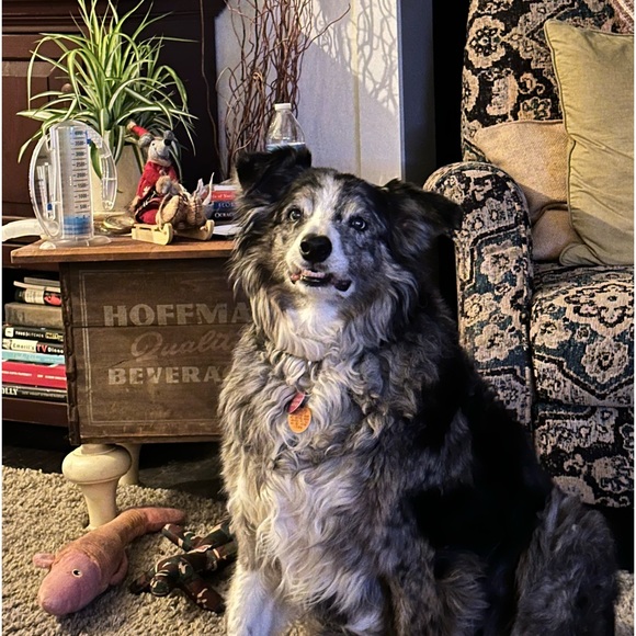 - Hi I’m Zina 😊 - Picture 2 of 4